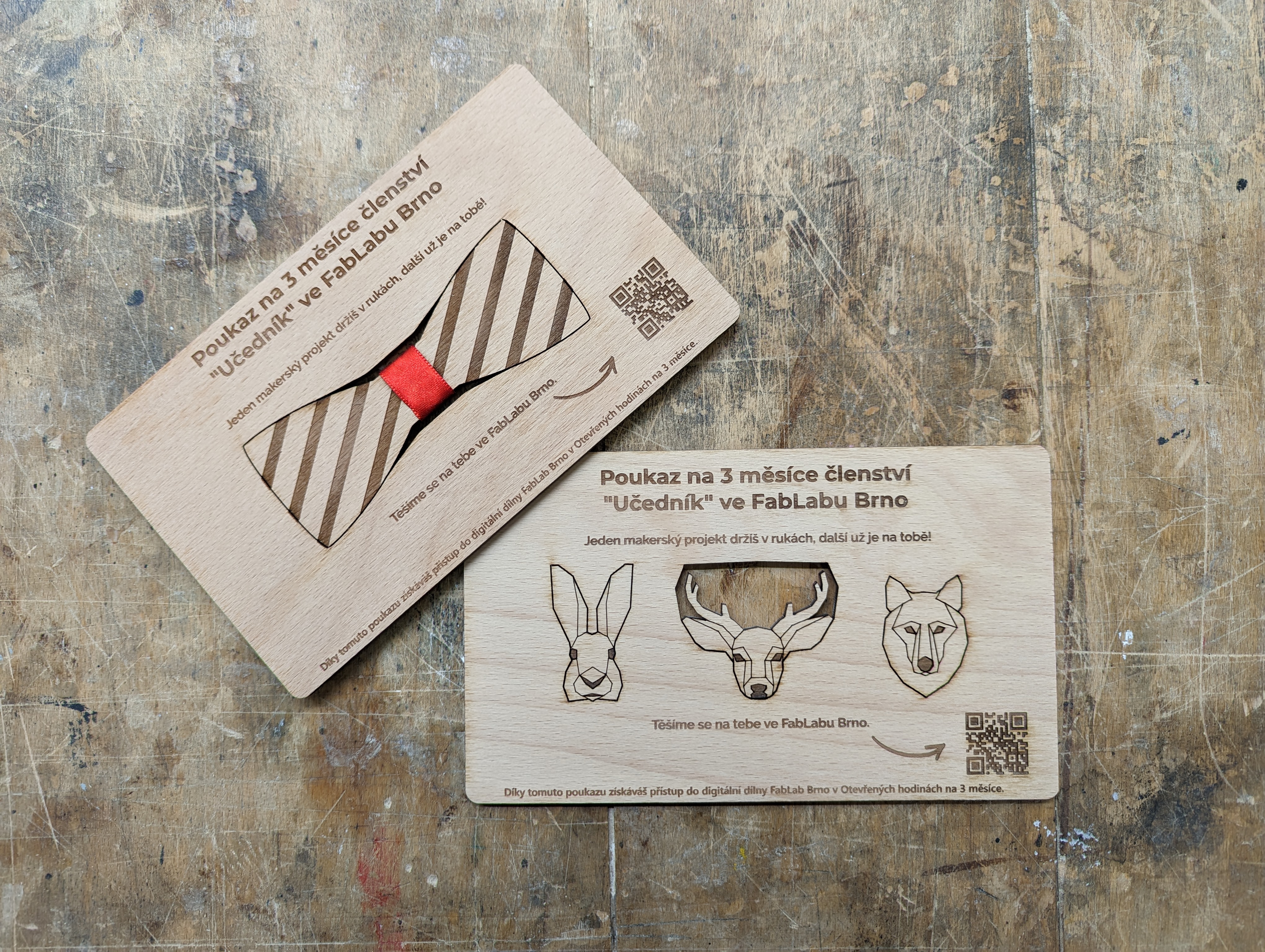 149_PXL_20221205_213930284