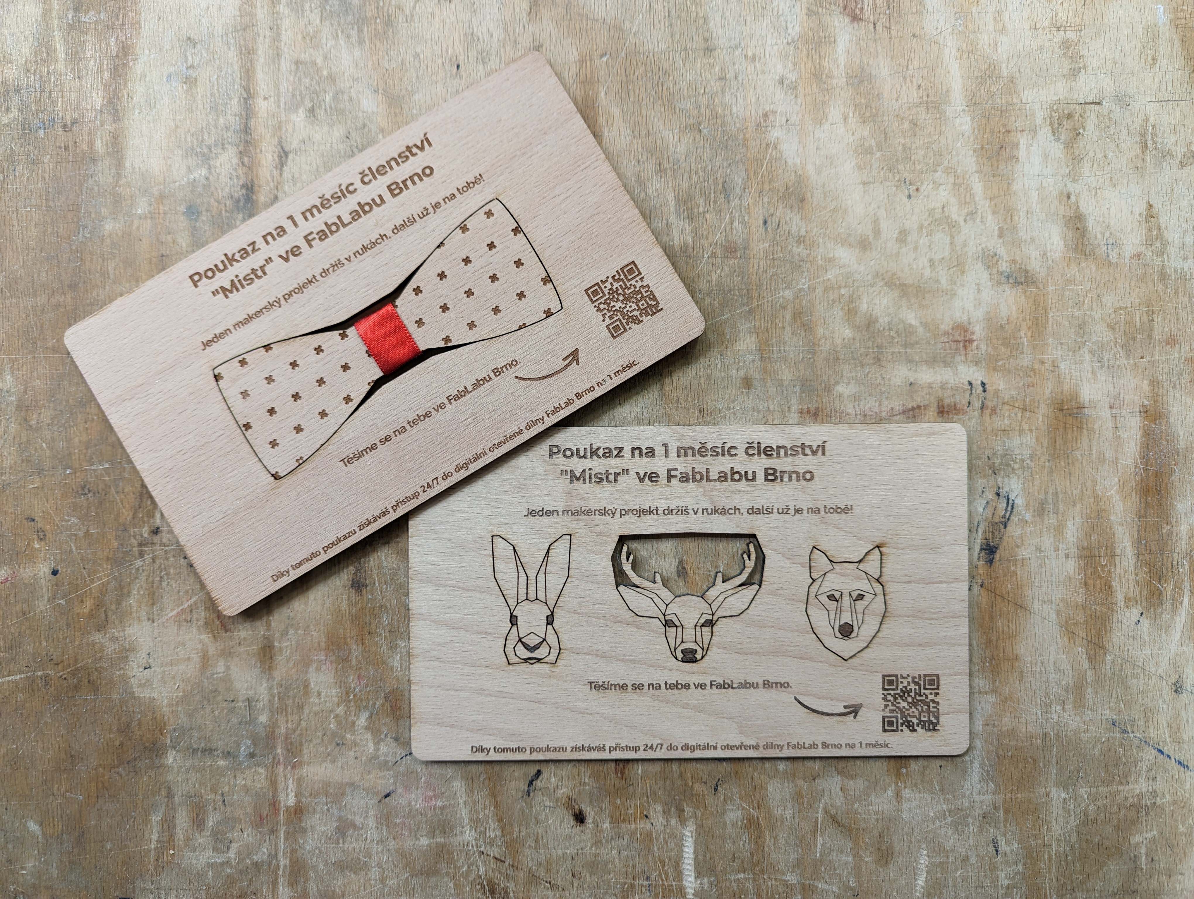 151_PXL_20221205_213922647